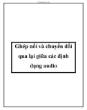 Ghép nối và chuyển đổi qua lại giữa các định dạng audio