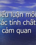 Tiểu luận: 'Quá trình hình thành và thay đổi cấu trúc thực phẩm trong chế biến thực phẩm'