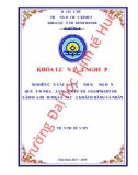 Khóa luận tốt nghiệp Quản trị kinh doanh: Nghiên cứu các yếu tố ảnh hưởng đến quyết định lựa chọn siêu thị Co.opmart Huế làm địa điểm mua sắm của khách hàng cá nhân