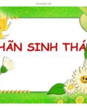 Thuyết trình: Nhãn sinh thái