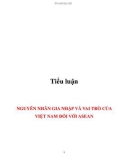 Tiểu luận: Nguyên nhân gia nhập và vai trò của Việt Nam đối với ASEAN