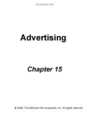 Lecture The dynamics of mass communication: Media in the digital age (10/e): Chapter 15 - Joseph R. Dominick