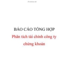 Báo cáo đề tài Phân tích tài chính công ty chứng khoán