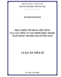 Luận án Tiến sĩ Kinh tế: Phát triển tín dụng tiêu dùng của công ty tài chính trực thuộc NHTM ở Việt Nam