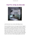 Chen Wei: cái đẹp của chăm chút