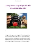 Andrey Pavlov: Chụp thế giới kiến thần tiên, mà kiến không chết!