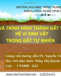 ĐỀ TÀI QUÁ TRÌNH HÌNH THÀNH ĐẤT VÀ HỆ VI SINH VẬT TRONG ĐẤT TỰ NHIÊN