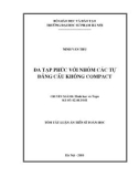 Tóm tắt luận văn Tiến sĩ Toán học: Đa tạp phức với nhóm các tự đẳng cấu không Compact