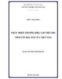 Luận án Tiến sĩ Kinh tế: Phát triển thương hiệu tập thể cho trái cây đặc sản của Việt Nam