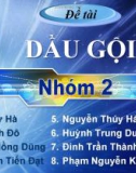 Bài thuyết trình đề tài: Dầu gội