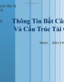 Thuyết trình: Thông tin bất cân xứng và cấu trúc tài chính