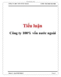 Tiểu luận: Công ty 100% vốn nước ngoài