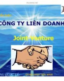 Tiểu luận: Công ty liên doanh