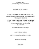 Luận văn Thạc sĩ Nông nghiệp: Đánh giá thực trạng sản xuất rau tại vùng phụ cận Thành phố Đồng Hới, tỉnh Quảng Bình