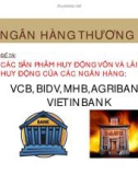 Thuyết trình: Các sản phẩm huy động vốn và lãi suất huy động của các ngân hàng VCB, BIDV, MHB, AGRIBANK, VIETINBANK