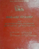 Khóa luận tốt nghiệp: Đào tạo nguồn nhân lực cho thương mại điện tử ở Việt Nam - Thực trạng và giải pháp