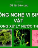 Đề tài báo cáo: Công nghệ vi sinh vật trong xử lý nước thải