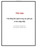 Tiểu luận: Cân bằng bên ngoài trong các quốc gia có thu nhập thấp