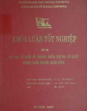 Khóa luận tốt nghiệp: Rủi ro lãi suất và phòng ngừa rủi ro lãi suất trong kinh doanh Ngân hàng