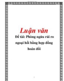 Luận văn: Phòng ngừa rủi ro ngoại hối bằng hợp đồng hoán đổi