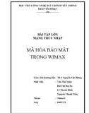 Đề tài: Mã hóa bảo mật trong wimax