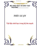 Tiểu luận: Vật liệu sinh học trong hệ tim mạch