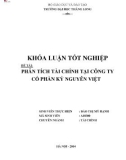 Khóa luận tốt nghiệp: Phân tích tài chính tại Công ty Cổ phần Kỷ nguyên Việt