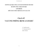 TIỂU LUẬN: VACCINE PHÒNG BỆNH AUJESZKY