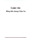 Luận văn: Đồng tiền chung Châu Âu