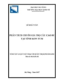 Tóm tắt Luận văn Thạc sĩ Quản trị kinh doanh: Phân tích chuỗi giá trị cây cao su tại tỉnh Kon Tum