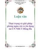 Luận văn: Thực trạng và giải pháp phòng ngừa rủi ro tín dụng tai CN NHCT Đống Đa