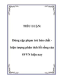 TIỂU LUẬN: Dùng cặp phạm trù bản chất hiện tượng phân tích lối sống của SVVN hiện nay