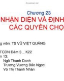 Thuyết trình: Nhận diện và định giá các quyền chọn