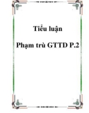 Tiểu luận Phạm trù GTTD