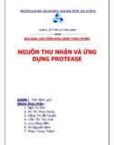 Đề tài: Nguồn thu nhận và ứng dụng protease