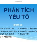 Tiểu luận: Phân tích yếu tố