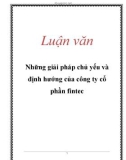 Luận văn: Những giải pháp chủ yếu và định hướng của công ty cổ phần fintec