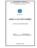 Khóa luận tốt nghiệp Quản trị doanh nghiệp: Một số biện pháp nhằm nâng cao hiệu quả hoạt động sản xuất kinh doanh tại Công ty TNHH Hanmiflexible Vina