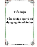 Tiểu luận Vấn đề đào tạo và sử dụng nguồn nhân lực