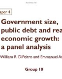 Thuyết trình: Government size, public debt and real economic growth: a panel analysis