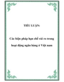 TIỂU LUẬN: Các biện pháp hạn chế rủi ro trong hoạt động ngân hàng ở Việt nam