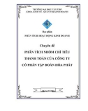 Chuyên đề: Phân tích nhóm chỉ tiêu thanh toán của Công ty Cổ phần Tập đoàn Hòa Phát