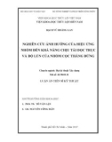 Luận án tiến sĩ Kỹ thuật: Nghiên cứu ảnh hưởng của hiệu ứng nhóm đến khả năng chịu tải dọc trục và độ lún của nhóm cọc thẳng đứng