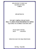 Tóm tắt Luận văn thạc sĩ Kế toán: Tổ chức thông tin kế toán phục vụ phân tích tình hình tài chính tại Công ty Cổ phần Trường Sơn