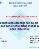 Luận văn: Kích thích sinh sản nhân tạo cá mè vinh bằng một số phương pháp khác nhau