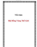 Tiểu luận: Hội đồng vàng thế giới