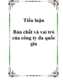 Tiểu luận Bản chất và vai trò của công ty đa quốc gia