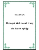 TIỂU LUẬN: Hiệu quả kinh doanh trong các doanh nghiệp