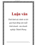 Luận văn: Tình hình tài chính và kêt quả hoạt động sản xuất kinh doanh của doanh nghiệp Thành Phong