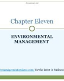 Lecture note Business Ethics: How to design and manage ethical organizations: Chapter 11 - Denis Collins